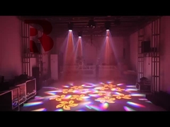 Mini-Modell mit Prisma RGBW für Show 6 Bienen Augen Licht